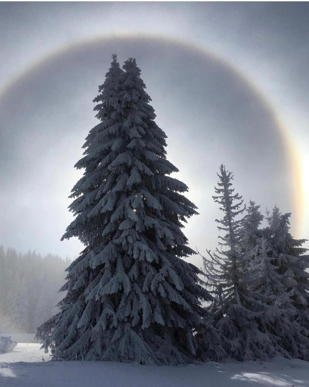 Silver Mountain Milmari Kopaonik Exterior foto